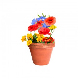 BOMBÓN DE SEMILLAS ECOLÓGICO