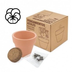 MACETA TERRACOTA CON...