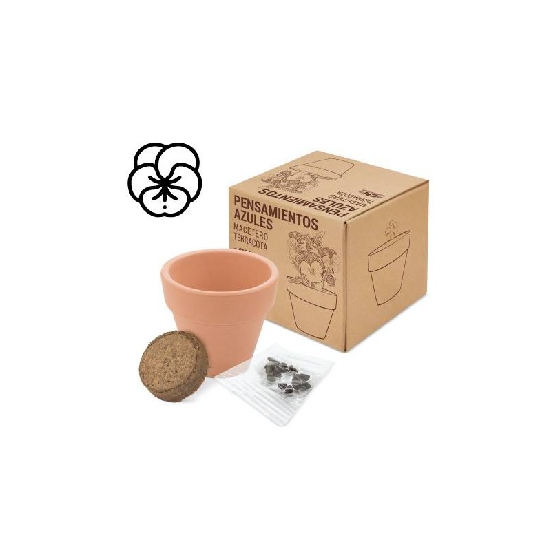 MACETA TERRACOTA CON SEMILLAS DE PENSAMIENTO