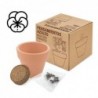 MACETA TERRACOTA CON SEMILLAS DE PENSAMIENTO