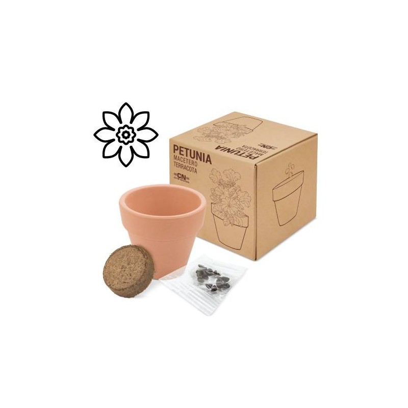 MACETA TERRACOTA CON SEMILLAS DE PETUNIA