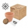 MACETA TERRACOTA CON SEMILLAS DE PETUNIA