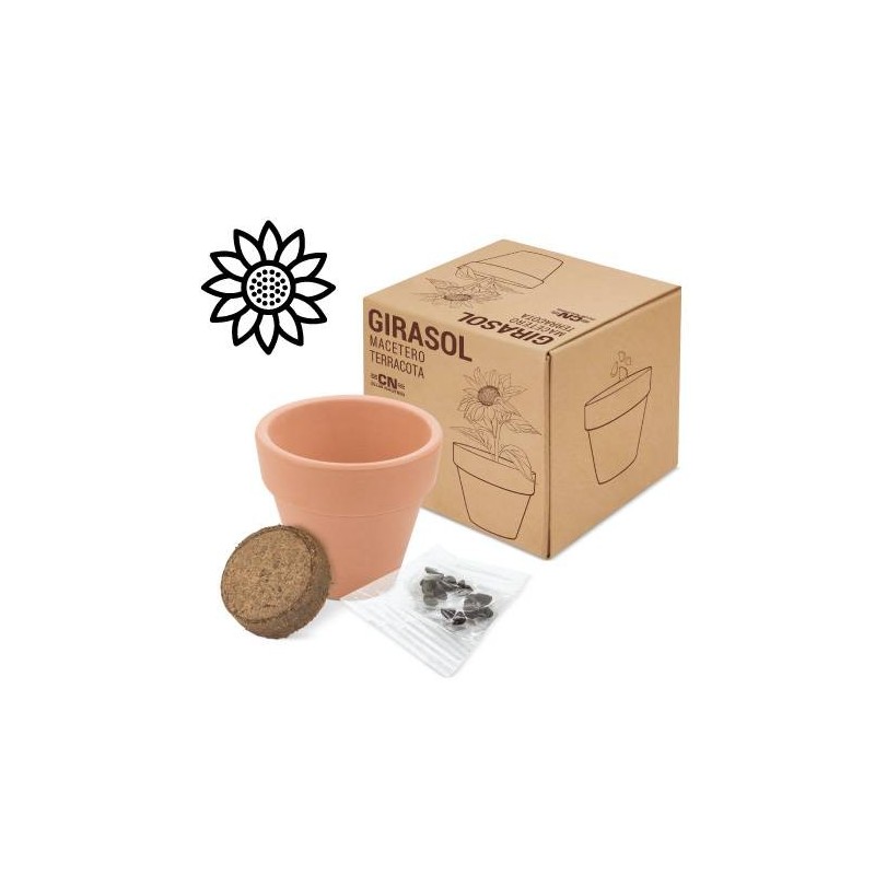 MACETA TERRACOTA CON SEMILLAS DE GIRASOL