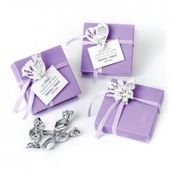 CAJA 5 MINIFRUITS PINZA...