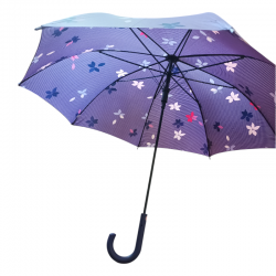 PARAGUAS ESPRIT LARGO...