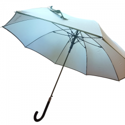 PARAGUAS LARGO CACHAREL