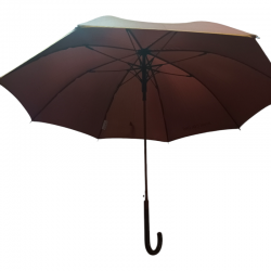 PARAGUAS LARGO CACHAREL