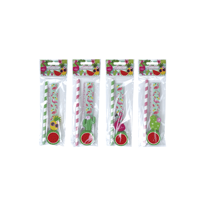 SET 4 PCS PAPELERÍA TROPICAL EXOTIC